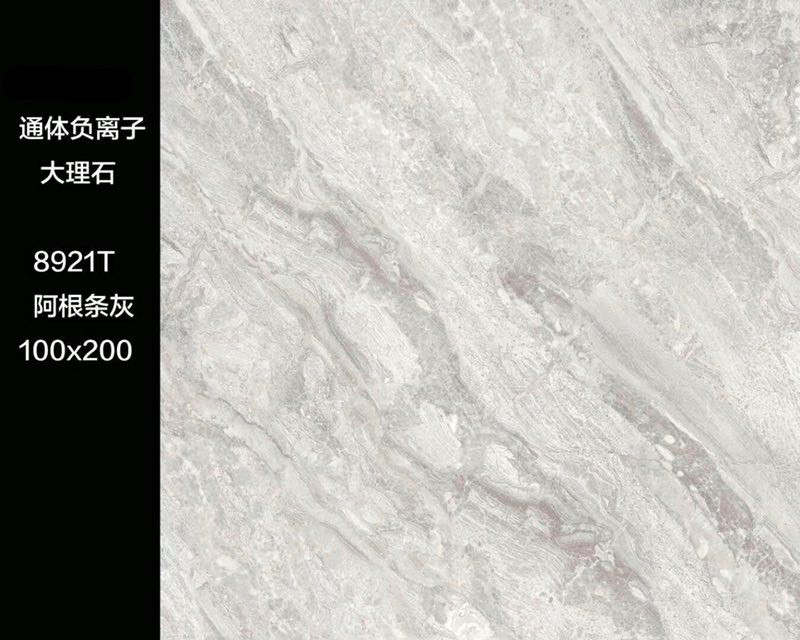 8921T
