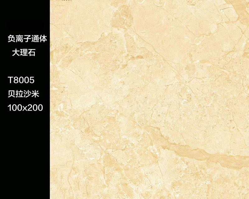 T8005