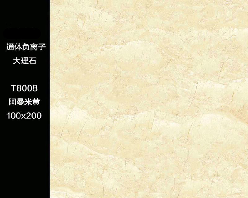 T8008