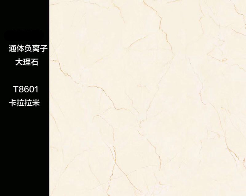 T8601