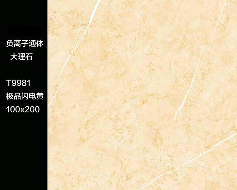 T9981