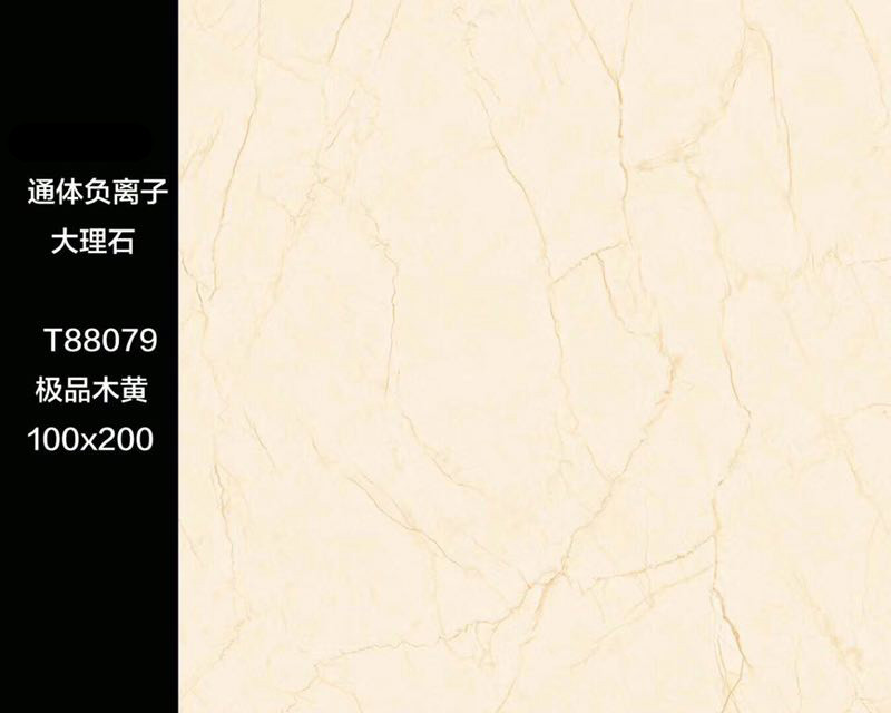 T88079