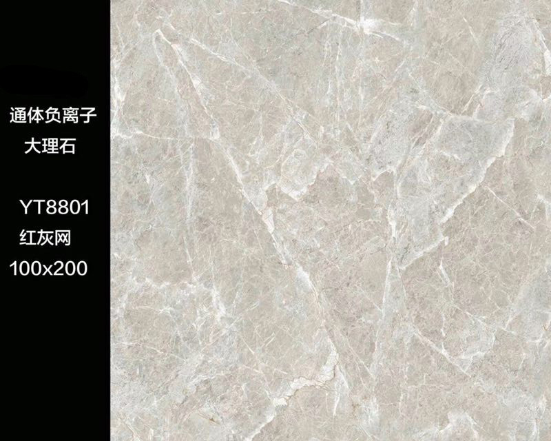 YT8801